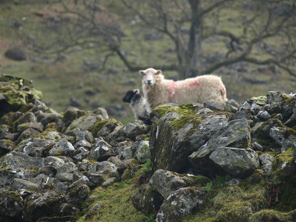 Barn-Gill House Bed & Breakfast Thirlmere Dış mekan fotoğraf