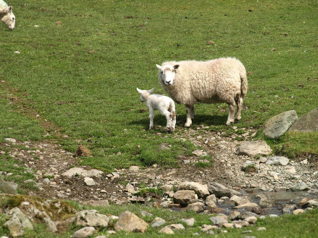 Barn-Gill House Bed & Breakfast Thirlmere Dış mekan fotoğraf